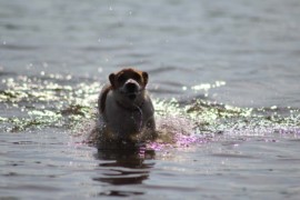 IMG 0403